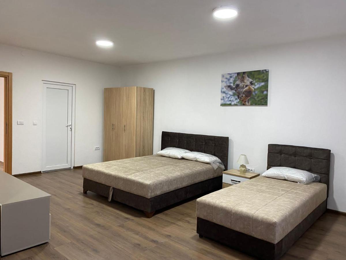 Vila Centar Mb Bed & Breakfast Sjenica Dış mekan fotoğraf